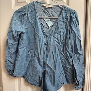 LOFT Blue Button-Down Blouse